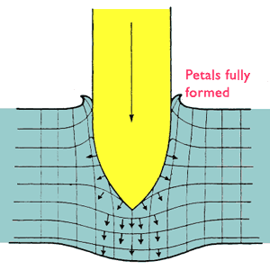 Bulge formation